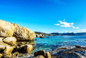 4 Day Cape Town Essential Tour & Big 5 Safari At Inverdoorn