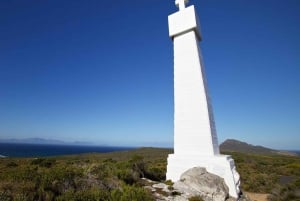 4 Day Cape Town Essential Tour & Big 5 Safari At Inverdoorn