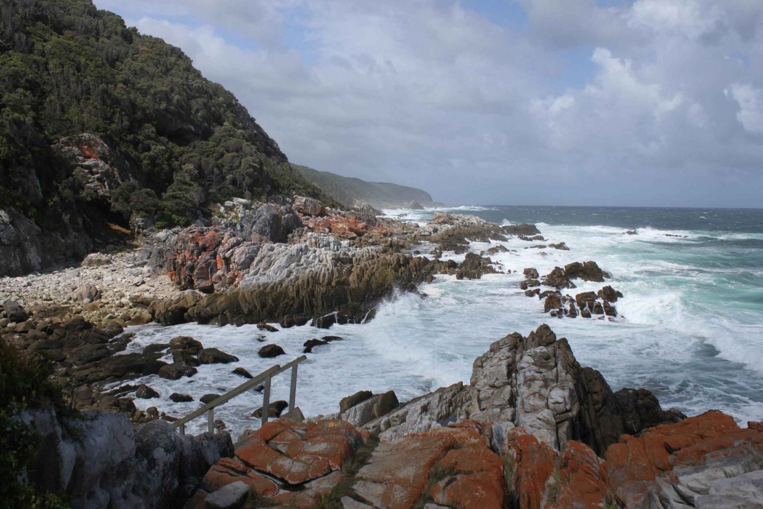 4-dages Garden Route-oplevelse