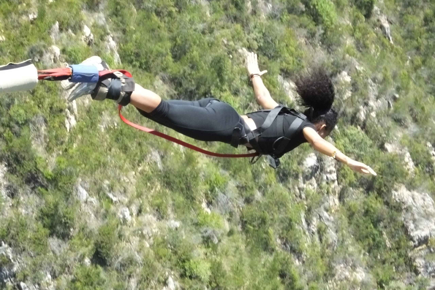 4-Day Garden Route Experience