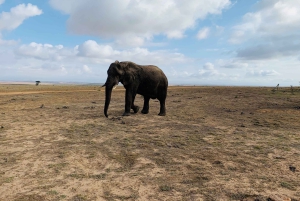 4-Day Garden Route Experience