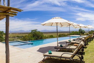 4-Day Garden Route Experience