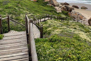4-Day Garden Route Experience