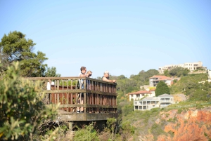 4-Day Garden Route Experience