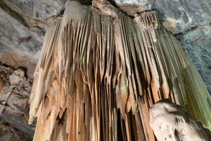 4-Day Garden Route Experience