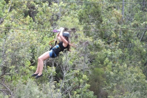 4-Day Garden Route Experience
