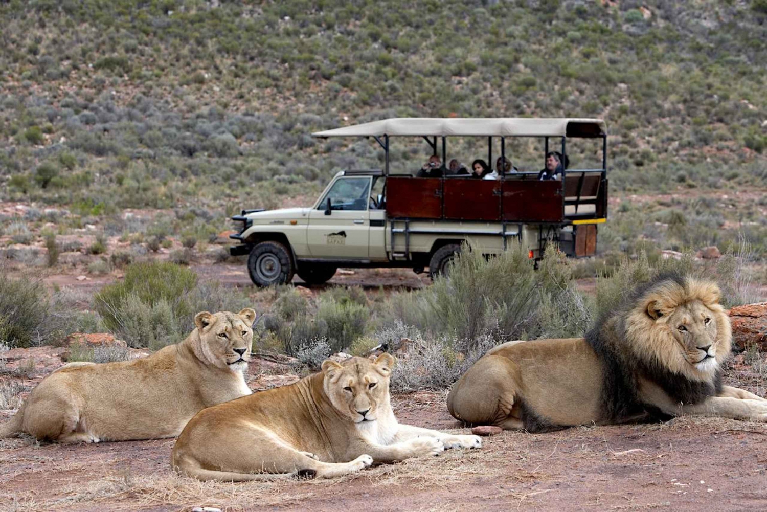 4-tägige private Highlights-Tour mit Übernachtung auf der Big5 Aquila Safari