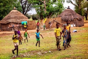 4 päivän pienryhmämatka Garden Route Tour Kapkaupungista