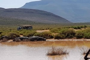 4 Días de Exploración Privada de Ciudad del Cabo y Alrededores