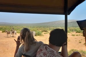 4 Días de Exploración Privada de Ciudad del Cabo y Alrededores