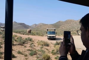 4 Días de Exploración Privada de Ciudad del Cabo y Alrededores