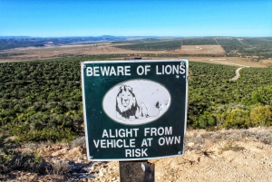 From Port Elizabeth: 5-Day Garden Route Tour to Cape Town
