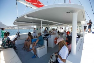 60min Coastal Catamaran Cruise Cape Town