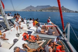 60min Coastal Catamaran Cruise Cape Town