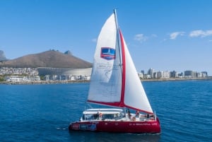 60min Coastal Catamaran Cruise Cape Town