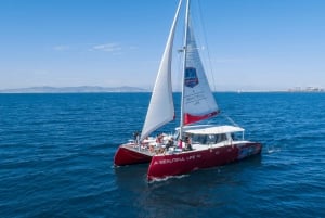 60min Coastal Catamaran Cruise Cape Town