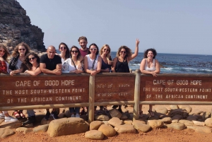 A Curious Adventure through Chapman’s Peak Drive: Cape Point