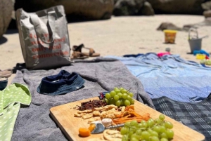 A Curious Adventure through Chapman’s Peak Drive: Cape Point