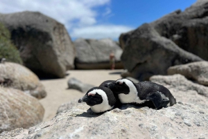 Una curiosa aventura por Chapman's Peak Drive: Cape Point