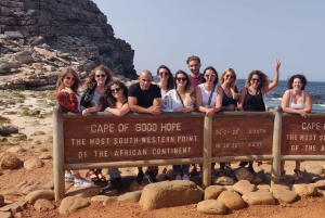 Una curiosa aventura por Chapman's Peak Drive: Cape Point