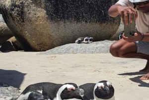 Una curiosa aventura por Chapman's Peak Drive: Cape Point