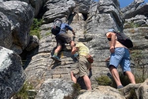 Приключенческий поход на вершину Столовой горы в Кейптауне