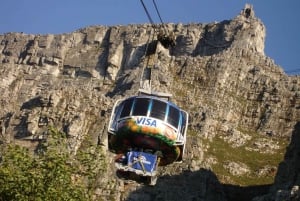 Adventurous Summit Hike Tour on Table Mountain in Cape Town