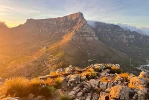 Tour avventuroso di escursione in vetta alla Table Mountain a Città del Capo