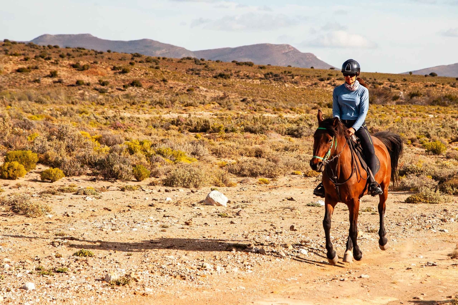 Afrika på hesteryg: Sadl op til en weekend med eventyr