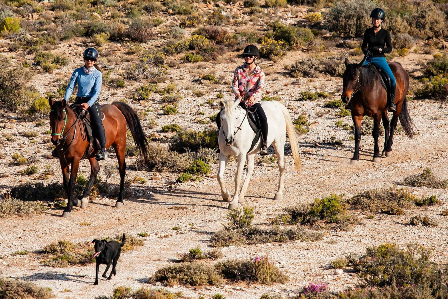 Afrika på hesteryg: Sadl op til en weekend med eventyr