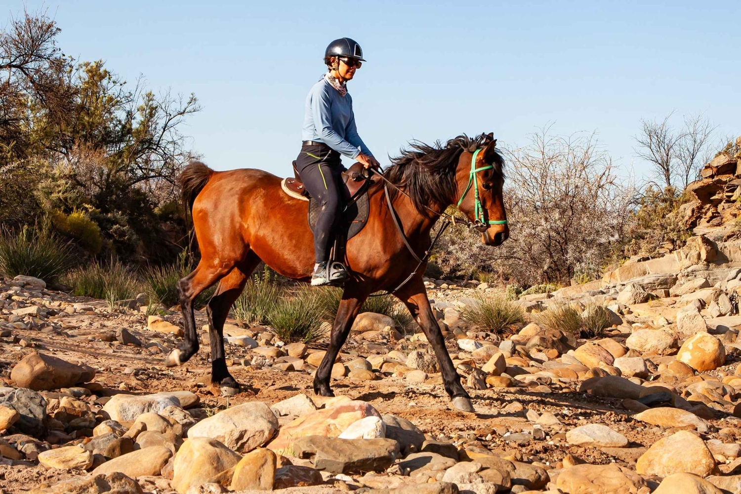 Afrika på hesteryg: Sadl op til en weekend med eventyr