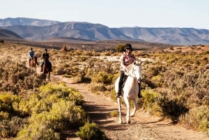Afrika på hesteryg: Sadl op til en weekend med eventyr