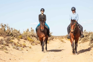 Afrika på hesteryg: Sadl op til en weekend med eventyr