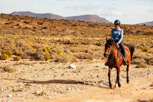 Afrika på hesteryg: Sadl op til en weekend med eventyr