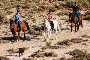 Afrika på hesteryg: Sadl op til en weekend med eventyr