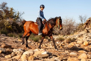 Afrika på hesteryg: Sadl op til en weekend med eventyr