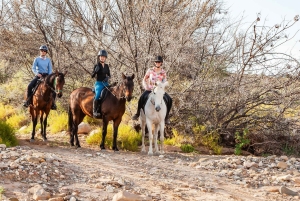 Afrika på hesteryg: Sadl op til en weekend med eventyr