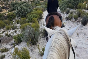 Afrika på hesteryg: Sadl op til en weekend med eventyr