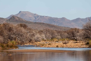 Afrika på hesteryg: Sadl op til en weekend med eventyr