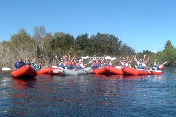 African Water Wanderers
