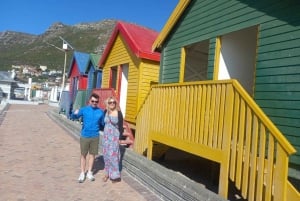 Cape Town: Sunset Penguins & Cape of Good Hope Half-Day Tour