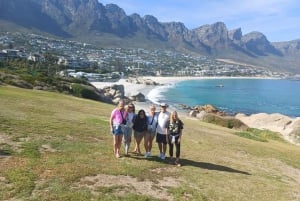 Cape Town: Sunset Penguins & Cape of Good Hope Half-Day Tour