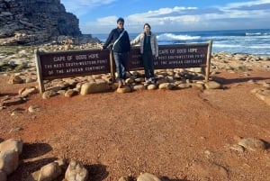 Cape Town: Sunset Penguins & Cape of Good Hope Half-Day Tour