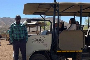 Experiencia de safari en coche con todo incluido por el Aquila Safari de los 5 Grandes