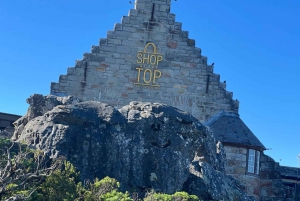 En eksklusiv heldagstur til Table Mountain og Robben Island