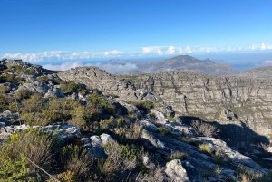 En eksklusiv heldagstur til Table Mountain og Robben Island