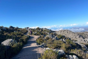 En eksklusiv heldagstur til Table Mountain og Robben Island