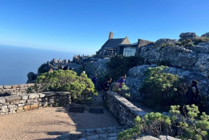 En eksklusiv heldagstur til Table Mountain og Robben Island