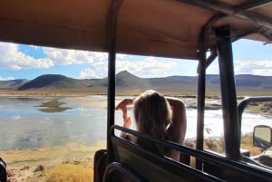 アクイラ・ビッグファイブ・サファリ（送迎、昼食付） 公園使用料を除く