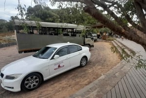 アクイラ・ビッグファイブ・サファリ（送迎、昼食付） 公園使用料を除く